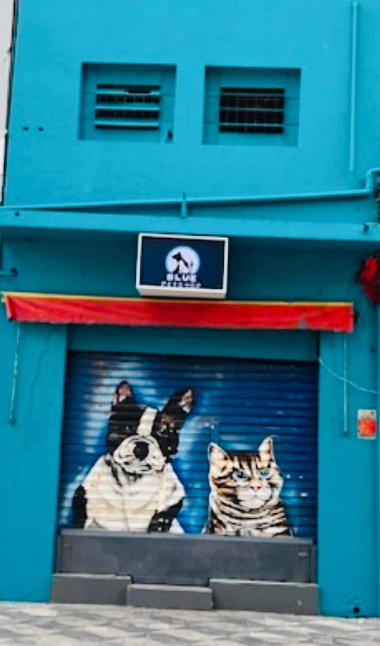 Blue PetShop