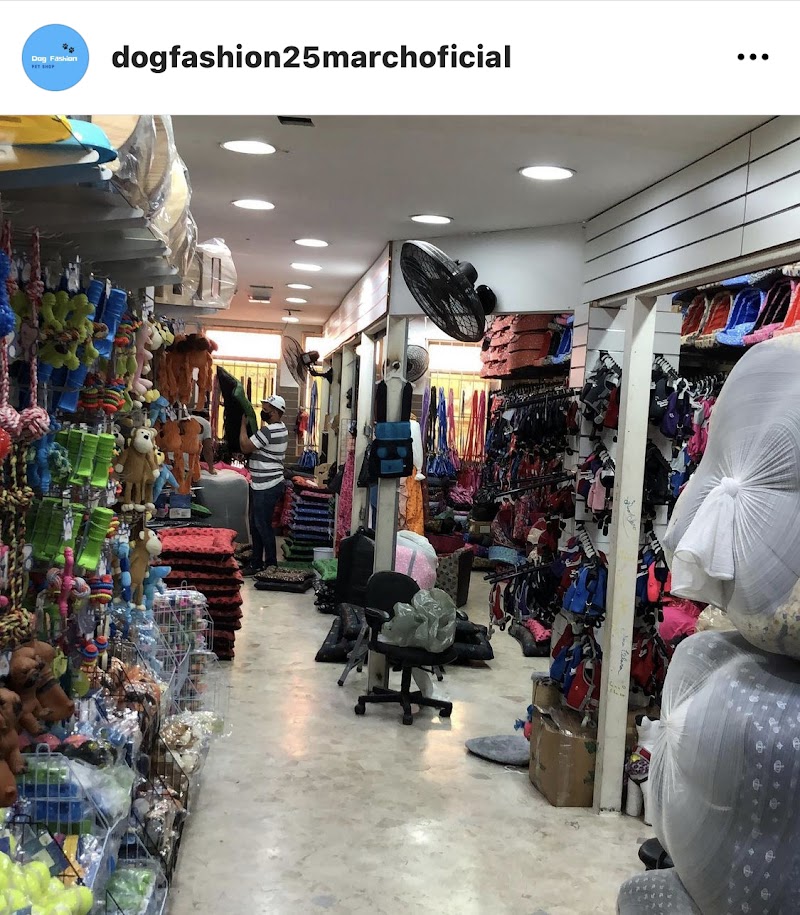 Dog Fashion