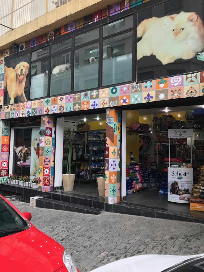 Pet Shop Bela Vista | Banho Carinhoso